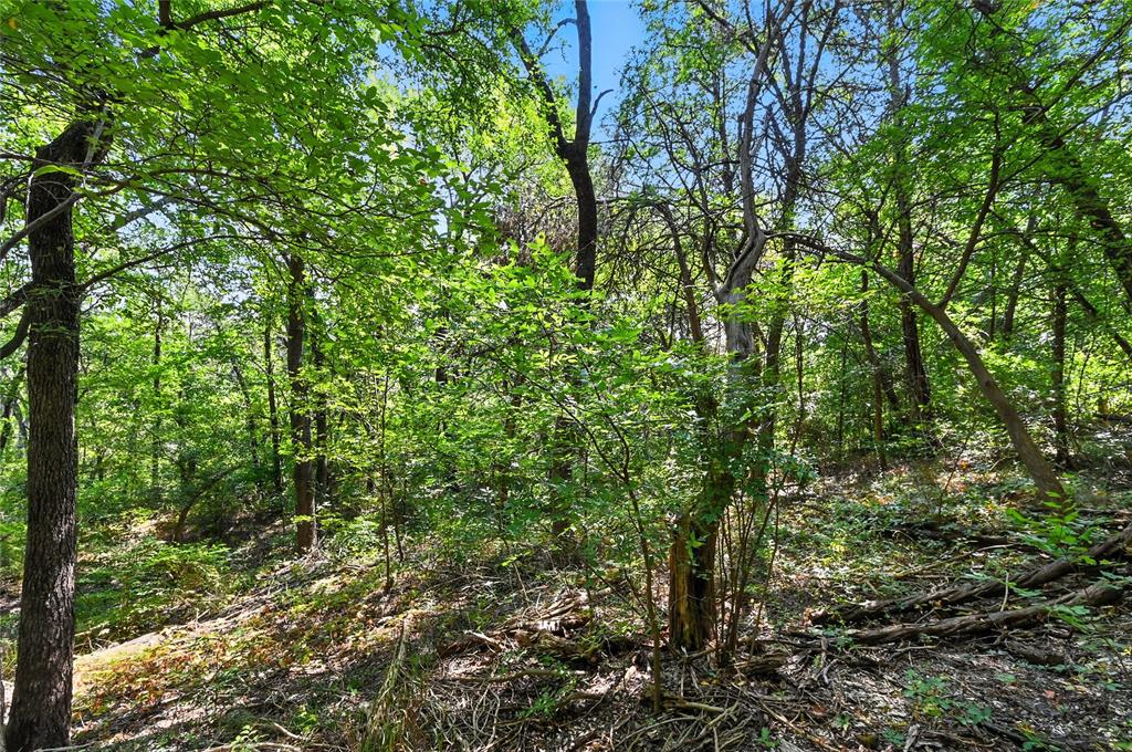 1917 Juniper Ridge Road Cedar Hill, TX 75104 - Photo 20 of 34 View of wooded area