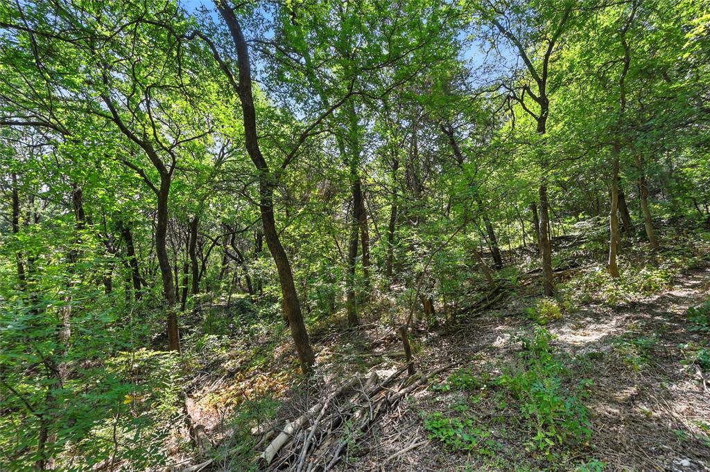 1917 Juniper Ridge Road Cedar Hill, TX 75104 - Photo 21 of 34 View of wooded area