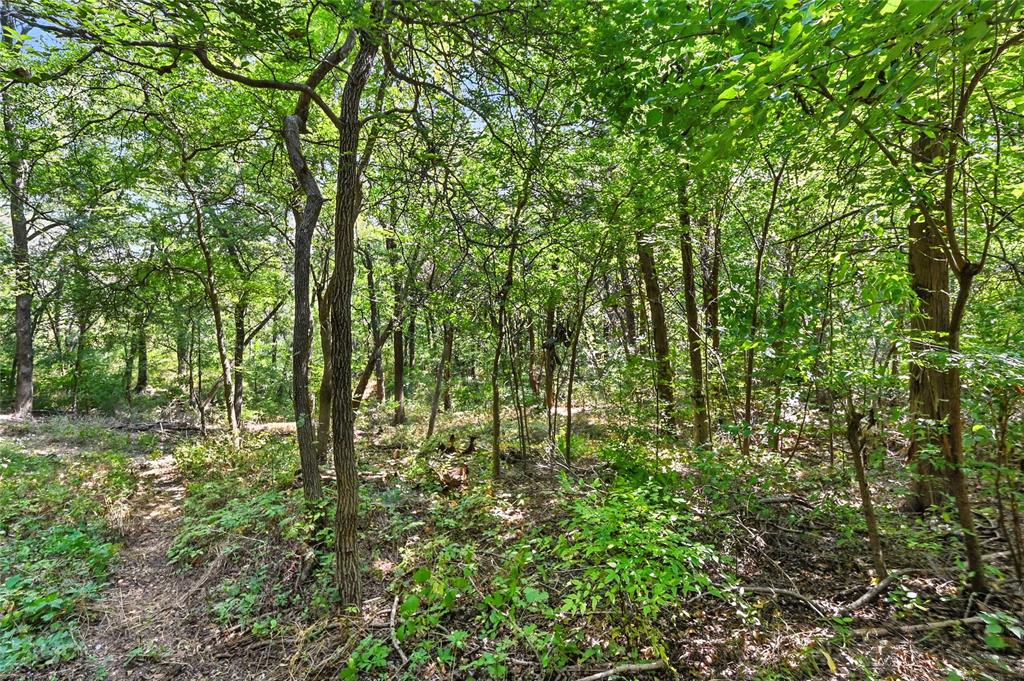 1917 Juniper Ridge Road Cedar Hill, TX 75104 - Photo 22 of 34 View of tree filled area