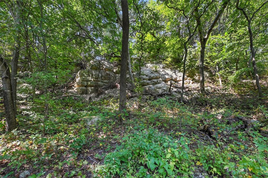 1917 Juniper Ridge Road Cedar Hill, TX 75104 - Photo 23 of 34 View of tree filled area
