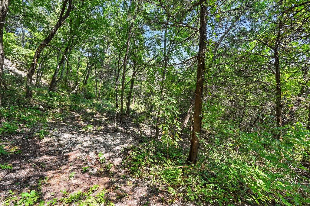 1917 Juniper Ridge Road Cedar Hill, TX 75104 - Photo 24 of 34 View of woods