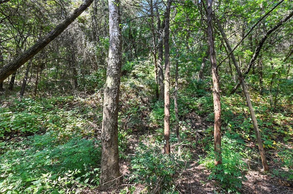 1917 Juniper Ridge Road Cedar Hill, TX 75104 - Photo 26 of 34 View of wooded area