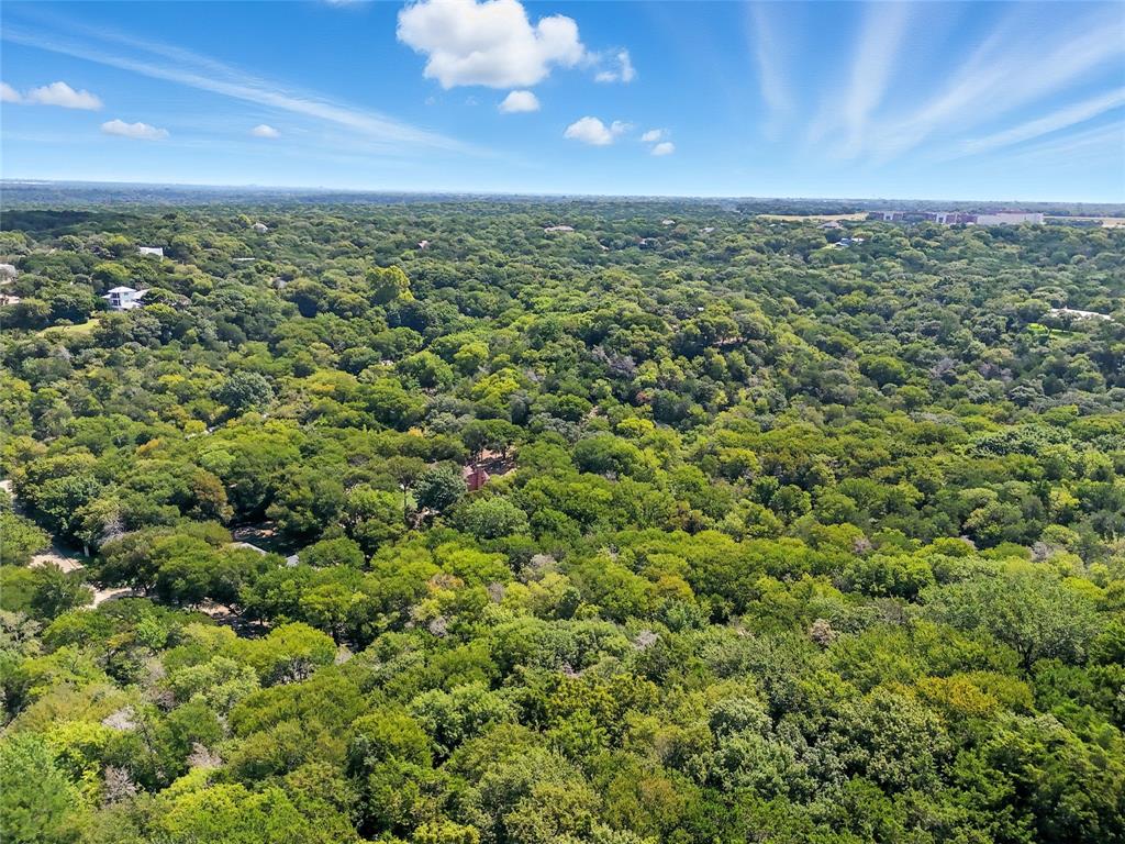 1917 Juniper Ridge Road Cedar Hill, TX 75104 - Photo 29 of 34 Aerial view of a forest