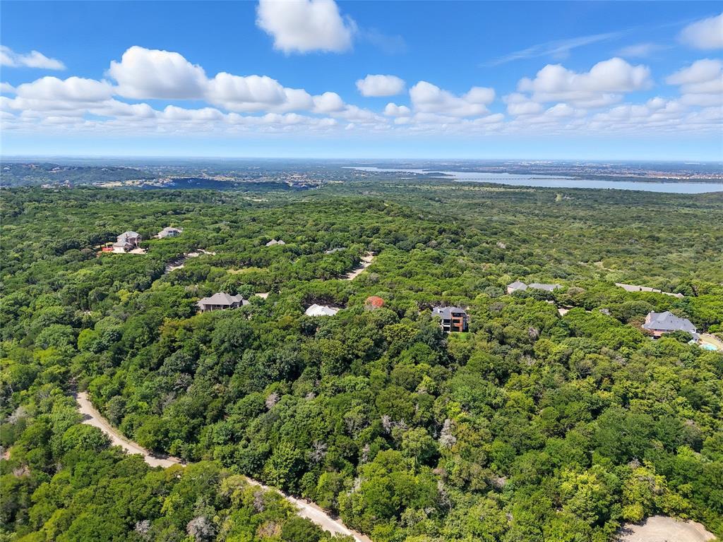 1917 Juniper Ridge Road Cedar Hill, TX 75104 - Photo 31 of 34 Bird's eye view of a heavily wooded area and a nearby body of water