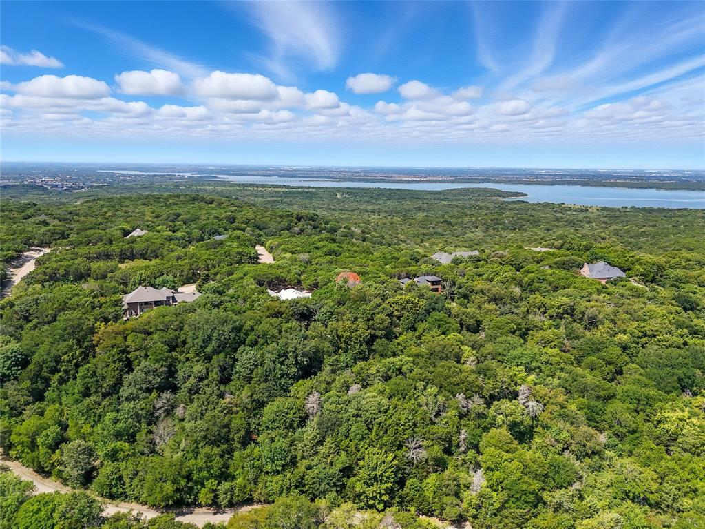 1917 Juniper Ridge Road Cedar Hill, TX 75104 - Photo 32 of 34 Drone / aerial view of a forest and a large body of water