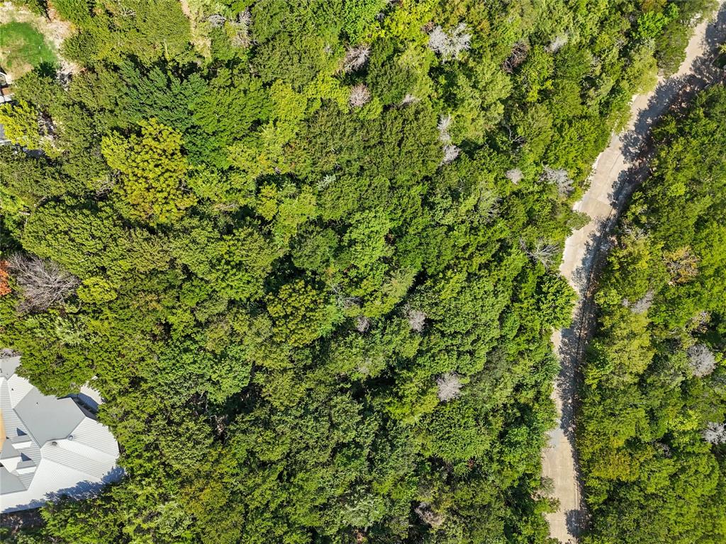 1917 Juniper Ridge Road Cedar Hill, TX 75104 - Photo 33 of 34 Bird's eye view