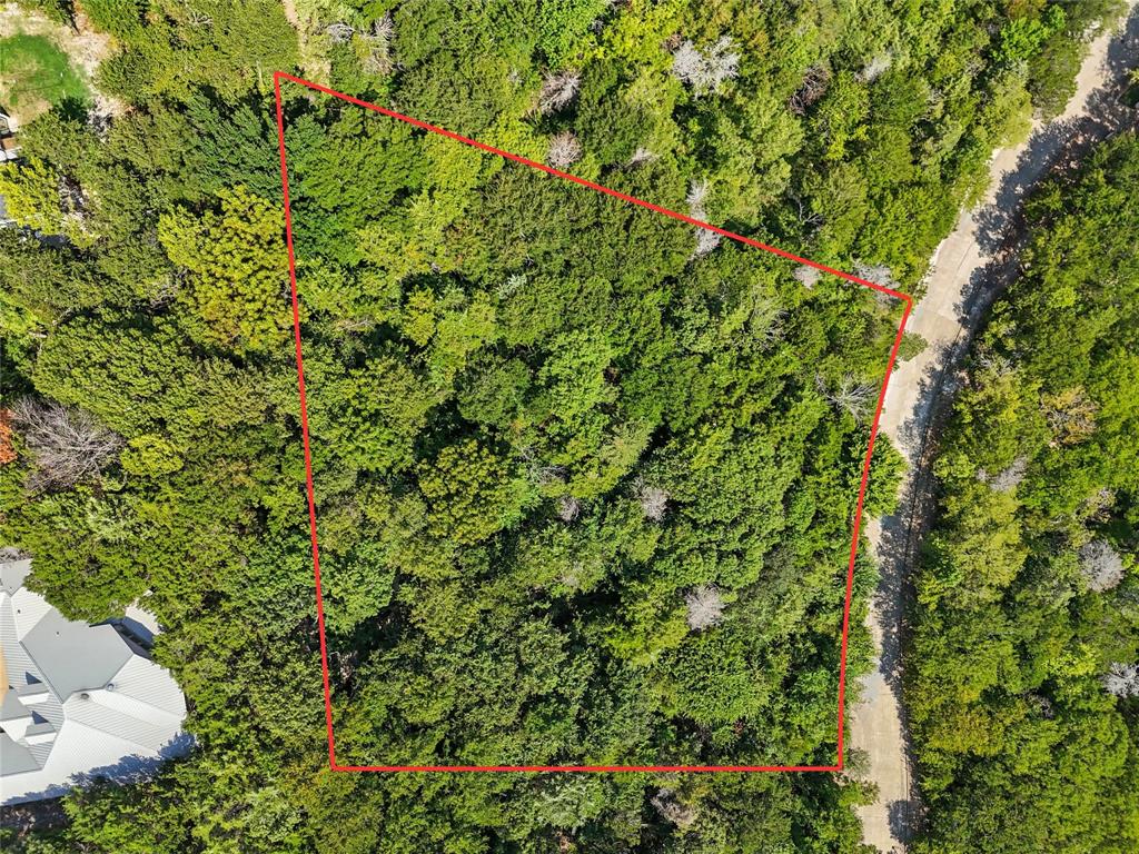 1917 Juniper Ridge Road Cedar Hill, TX 75104 - Photo 4 of 34 View of property location featuring property boundaries highlighted and a forest