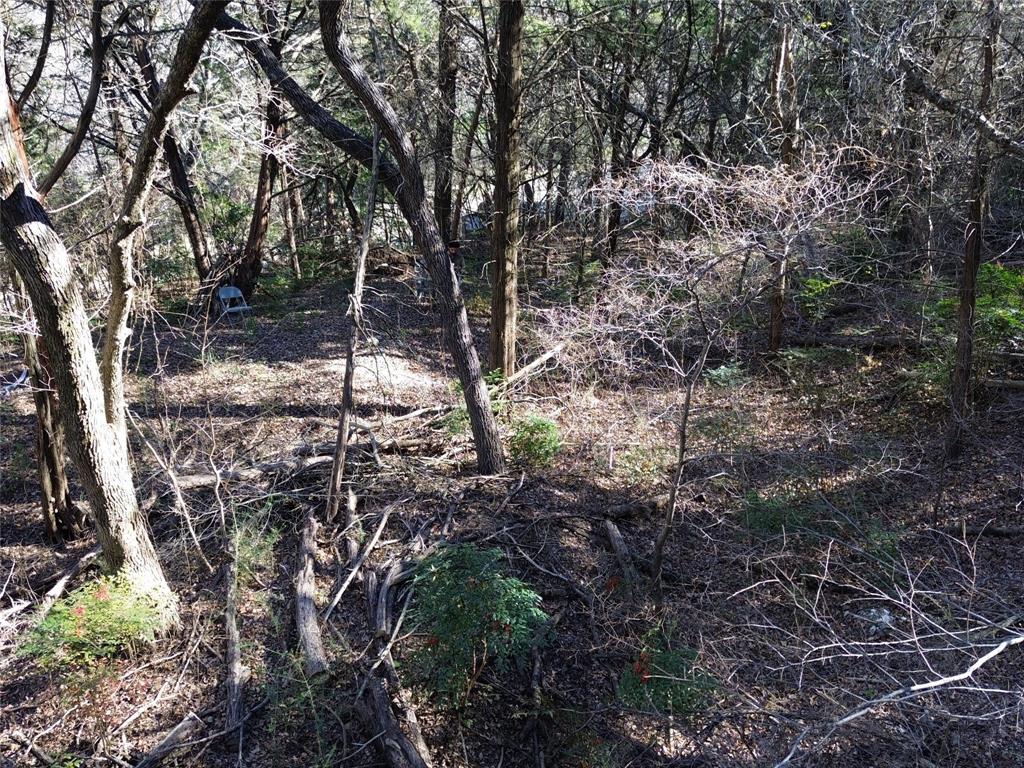 1917 Juniper Ridge Road Cedar Hill, TX 75104 - Photo 9 of 34