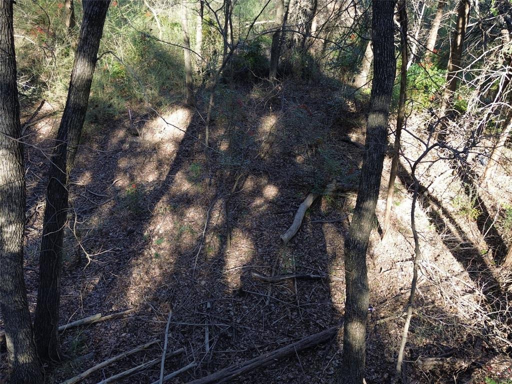 1917 Juniper Ridge Road Cedar Hill, TX 75104 - Photo 10 of 34