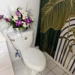 a view of toilet