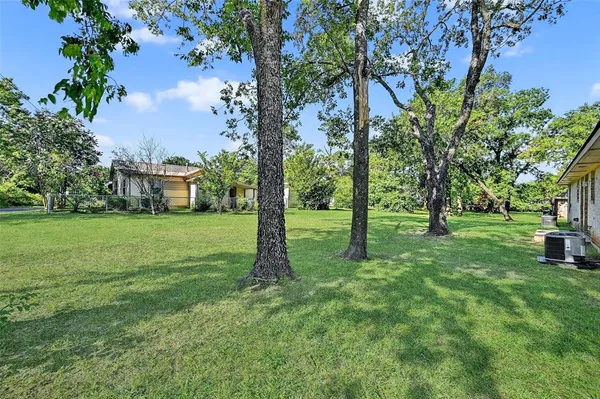 a view of a garden with trees