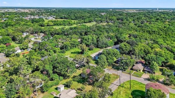 a view of a lush green forest with lots of trees