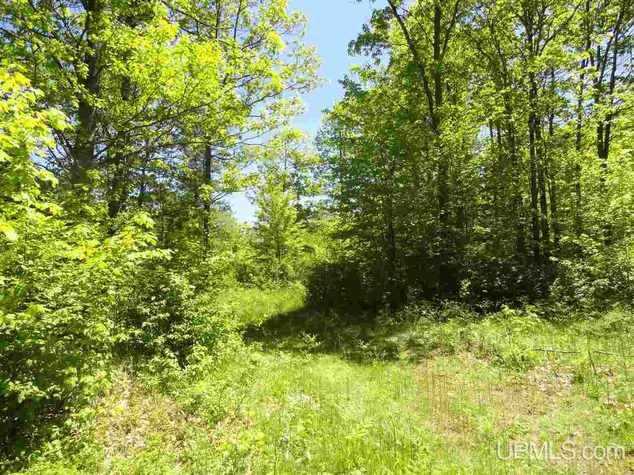 40 Two 2 Mile Creek Road Channing, MI 49815 - Photo 3 of 14 Gallery Image 3