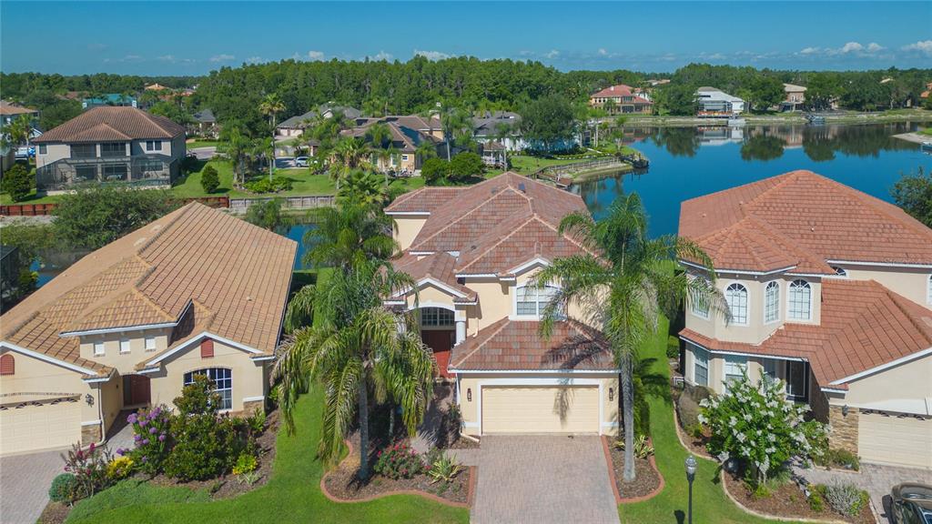 18018 Java Isle Drive Tampa, FL 33647 - Photo 8 of 14