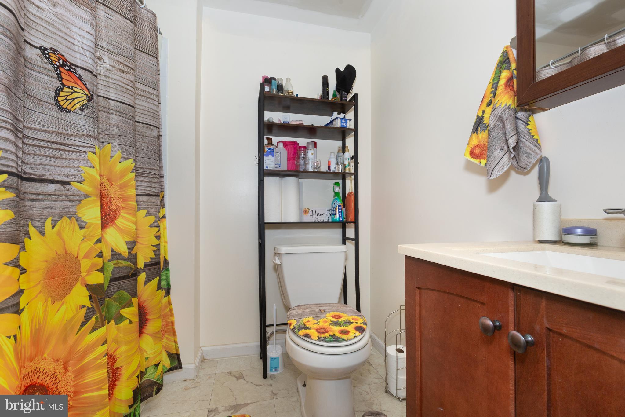 3801 Carrollton Road Upperco, MD 21155 - Photo 45 of 75 a bathroom with a sink and a toilet