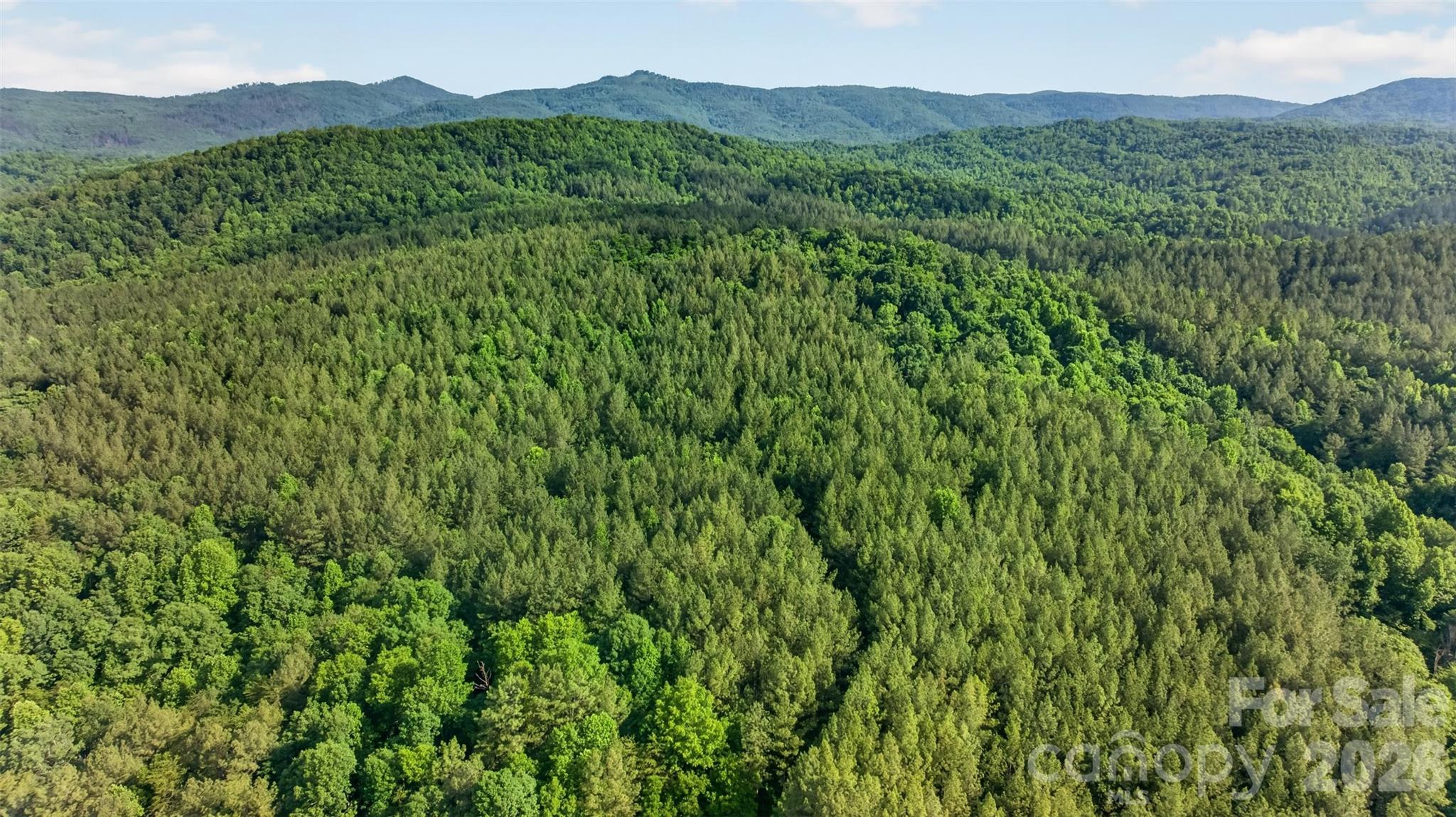 485 Frog Creek Road Union Mills, NC 28167 - Photo 2 of 44