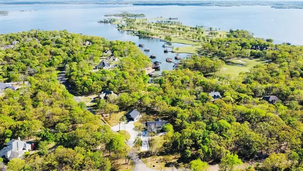 a view of a bunch of flowers and trees in the background
