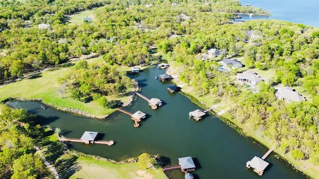 a view of a garden with plants