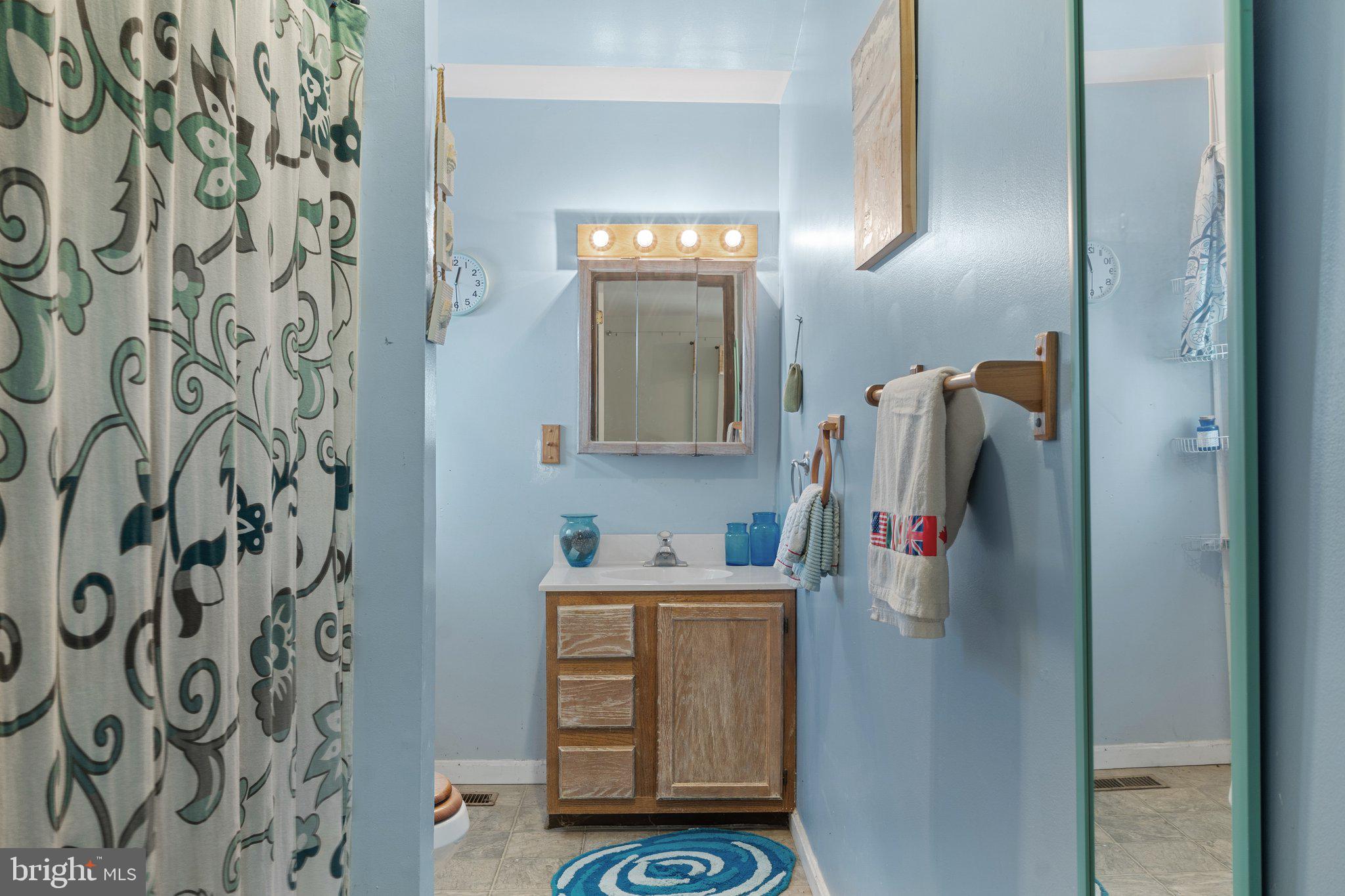 15921 Frederick Road Woodbine, MD 21797 - Photo 29 of 41 Charming blue-hued bathroom retreat.