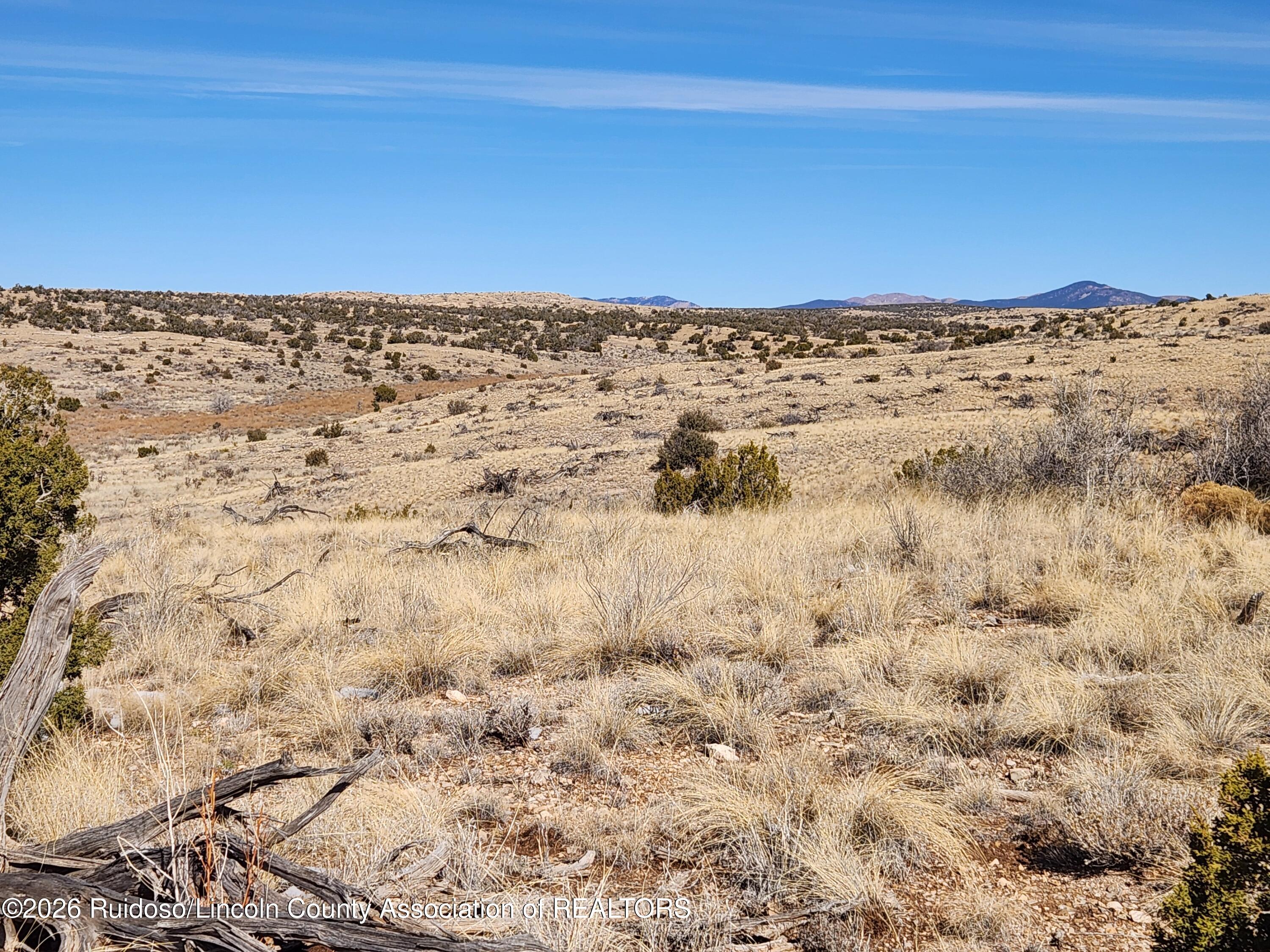 Lot 175 Windmill Road Carrizozo, NM 88301 - Photo 13 of 21 Gallery Image 13