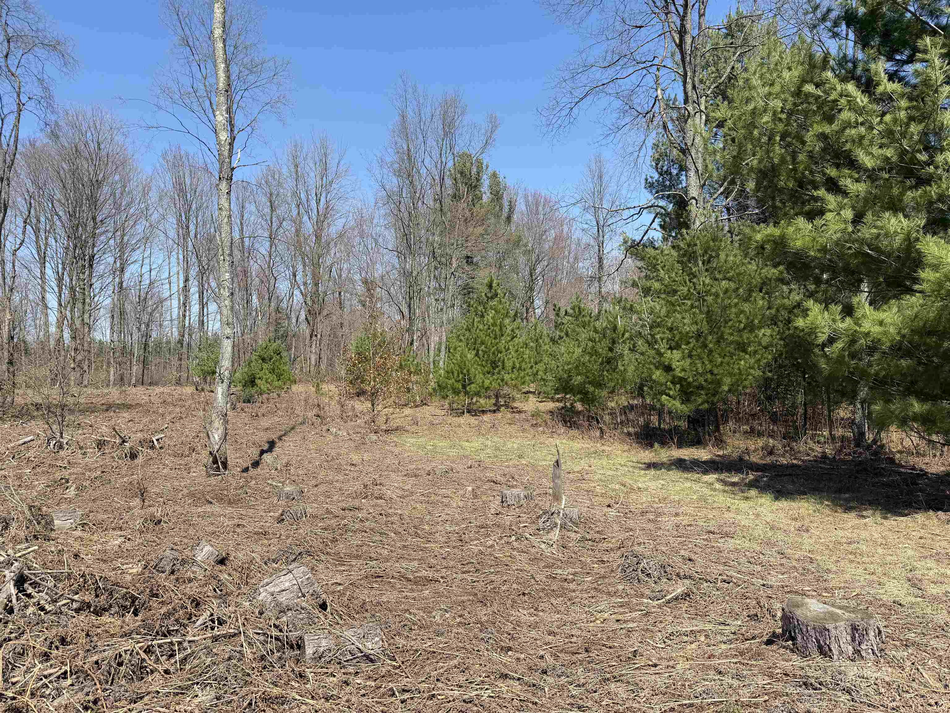 0 Landis Road Thompsonville, MI 49683 - Photo 22 of 26