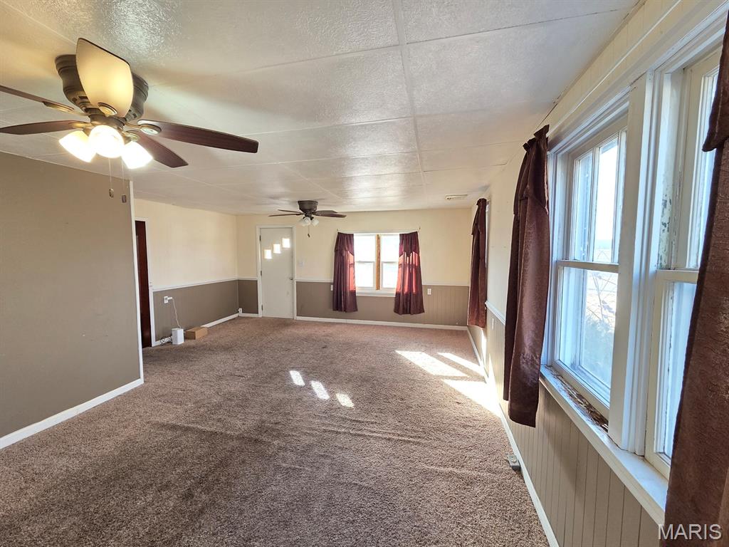 806 North 8th Street Canton, MO 63435 - Photo 6 of 19