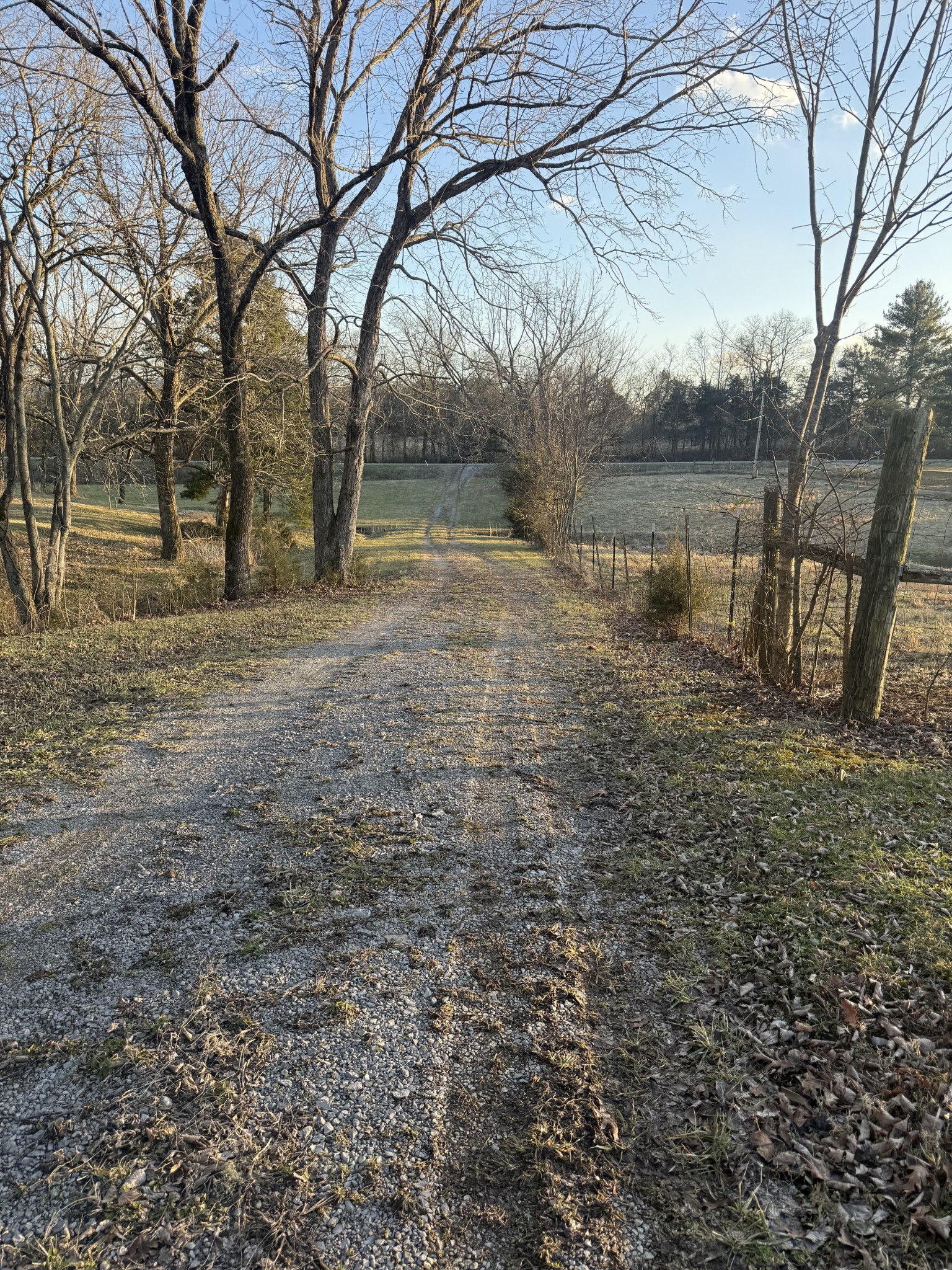 3575 New Hope Road Alexandria, TN 37012 - Photo 3 of 19