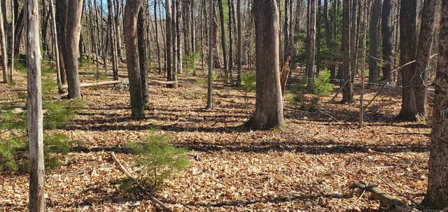 a backyard of a house