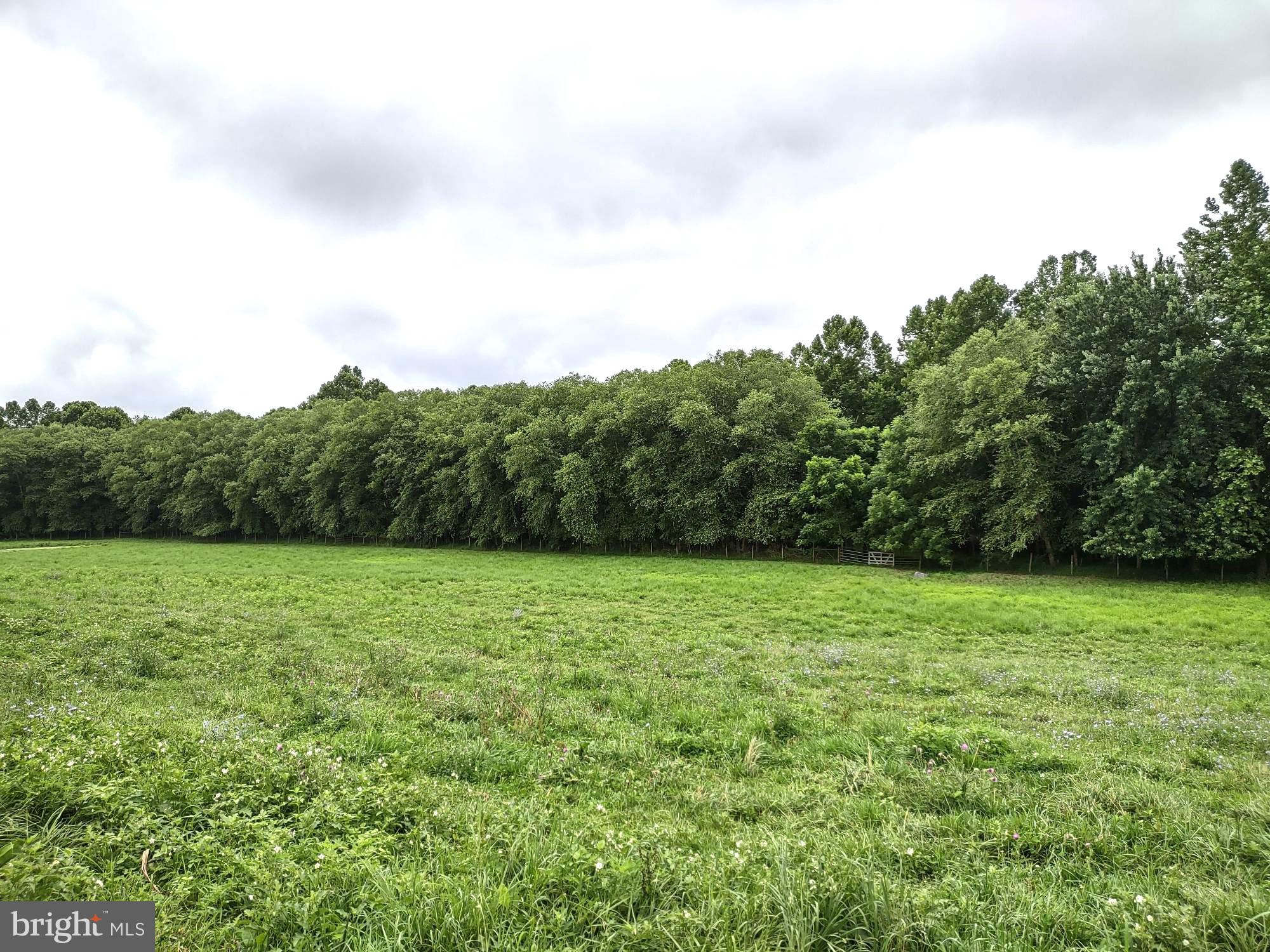 4206 Graceton Road Pylesville, MD 21132 - Photo 14 of 74 Fenced Pasture