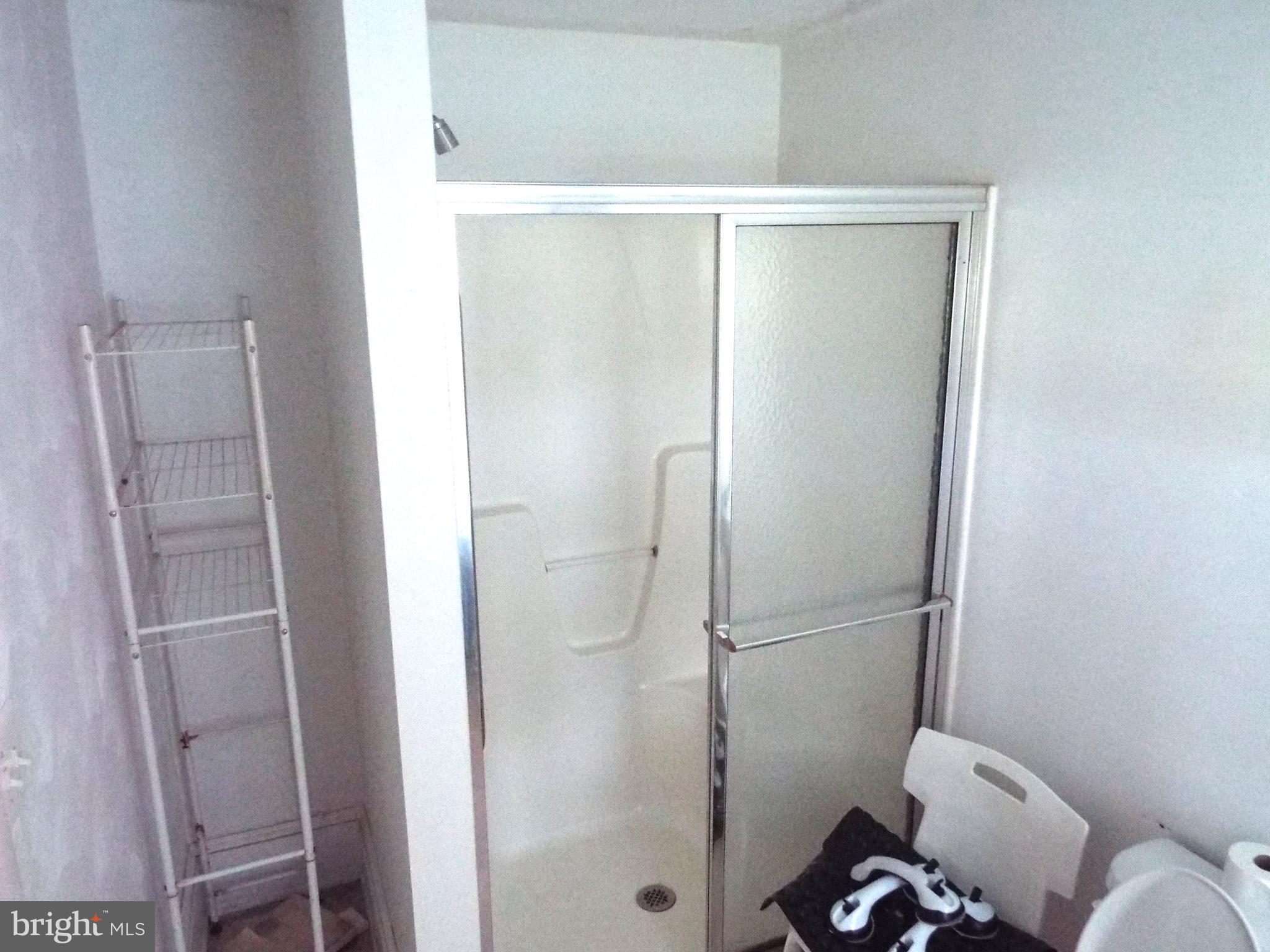 4206 Graceton Road Pylesville, MD 21132 - Photo 48 of 74 Main Level Bathroom shower