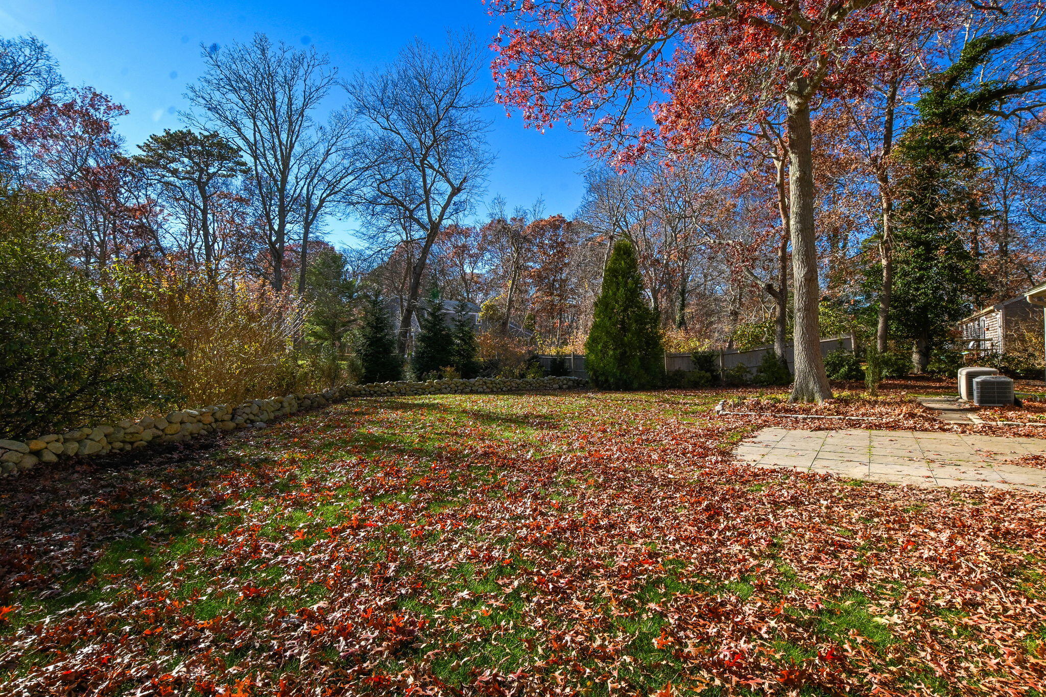 12 Crowell Road Sandwich, MA 02563 - Photo 42 of 49 a view of dirt yard with a large tree