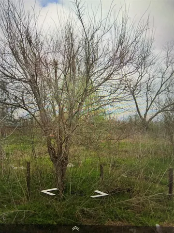 a view of a yard with an outdoor space