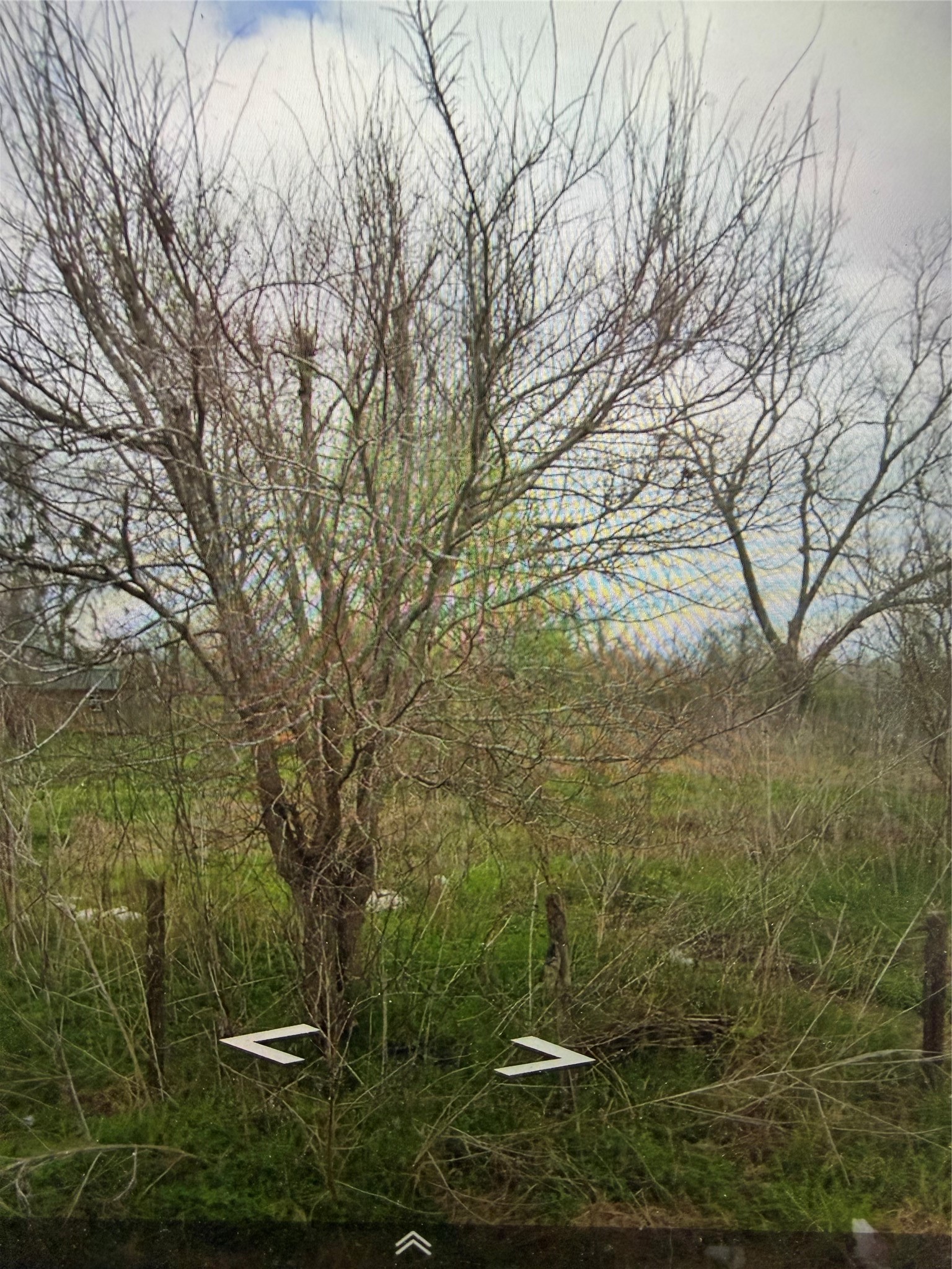 3221 Blackshear Road Wharton, TX 77488 - Photo 2 of 6 a view of a green field