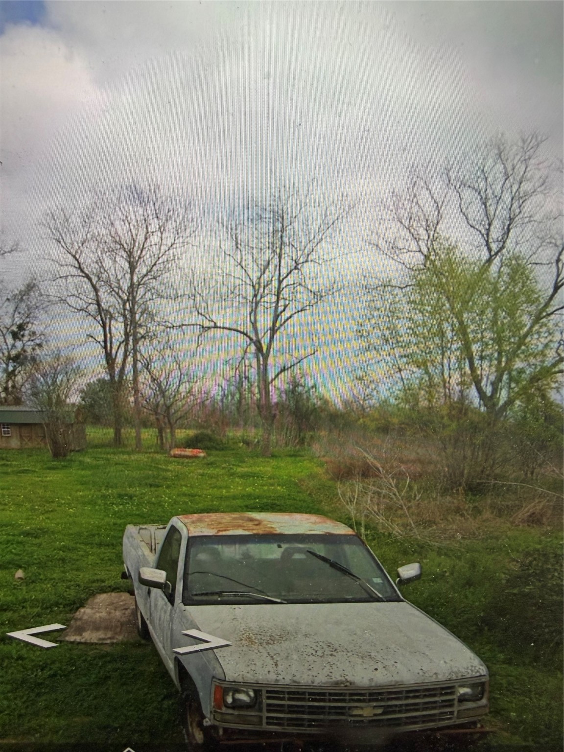 3221 Blackshear Road Wharton, TX 77488 - Photo 3 of 6 a view of a yard