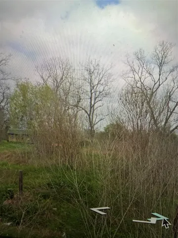 a view of a yard with plants and wooden fence