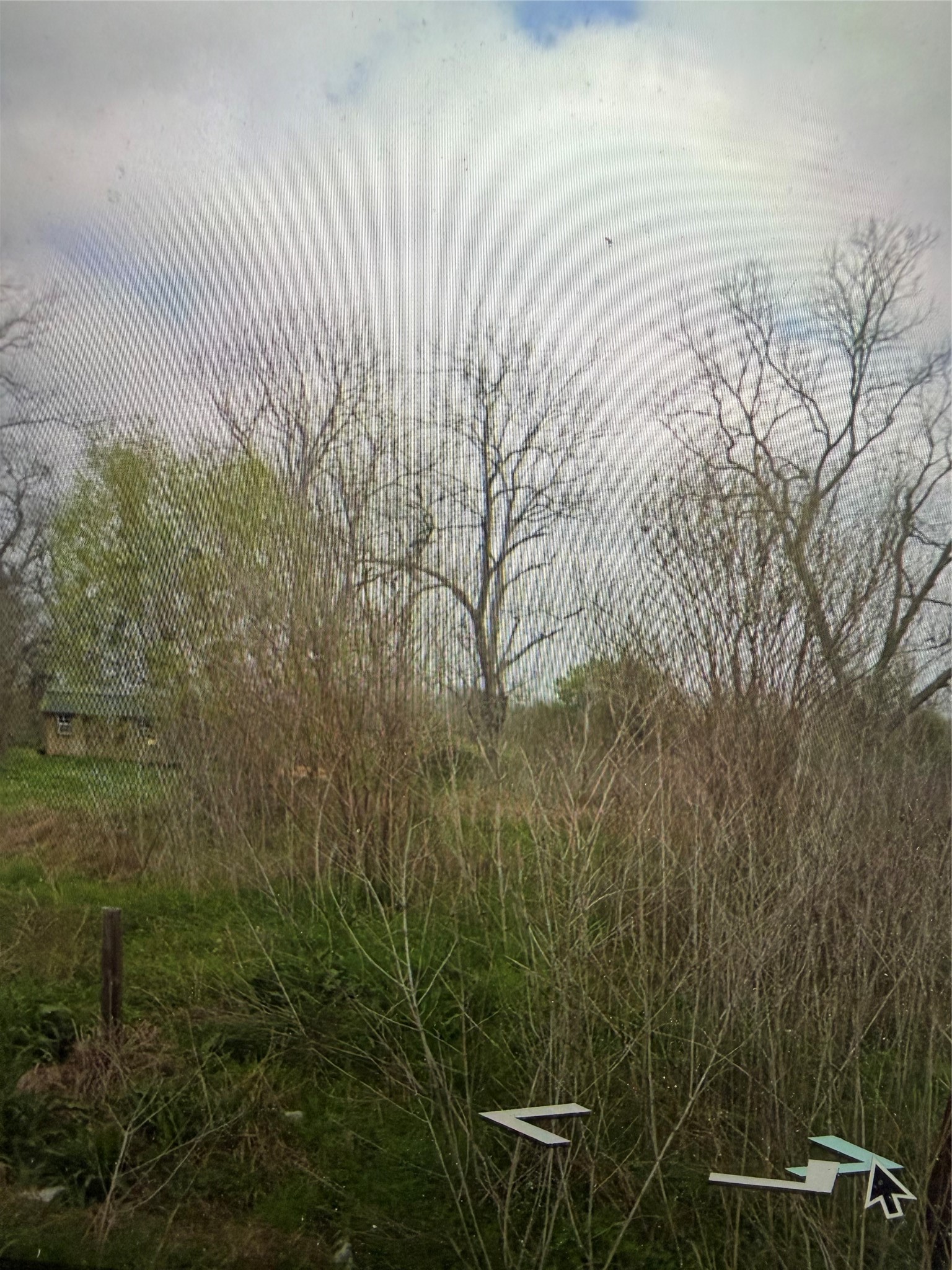 3221 Blackshear Road Wharton, TX 77488 - Photo 4 of 6 a view of a backyard of the house