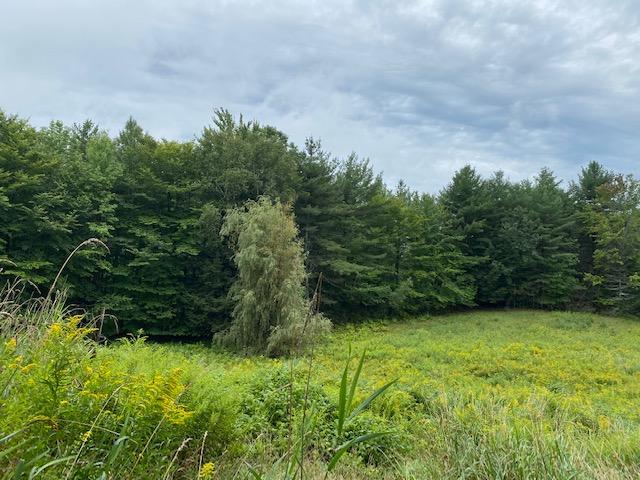 322 West Road Belgrade, ME 04917 - Photo 60 of 74 IMG_2390
