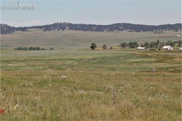 18 Sweet Road Calhan, CO 80808 - Photo 2 of 4 Gallery Image 2