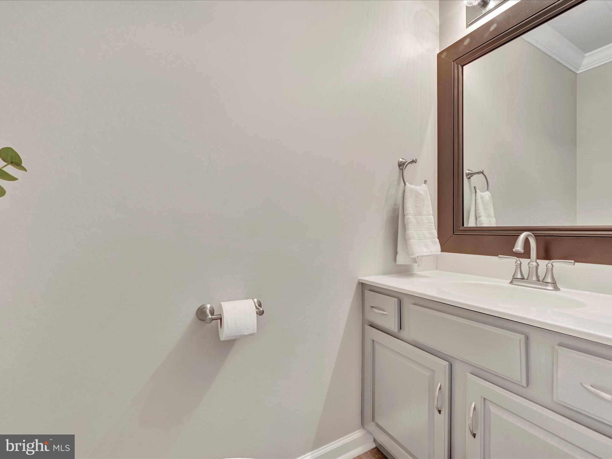 61 Heron Road Lititz, PA 17543 - Photo 13 of 34 powder room
