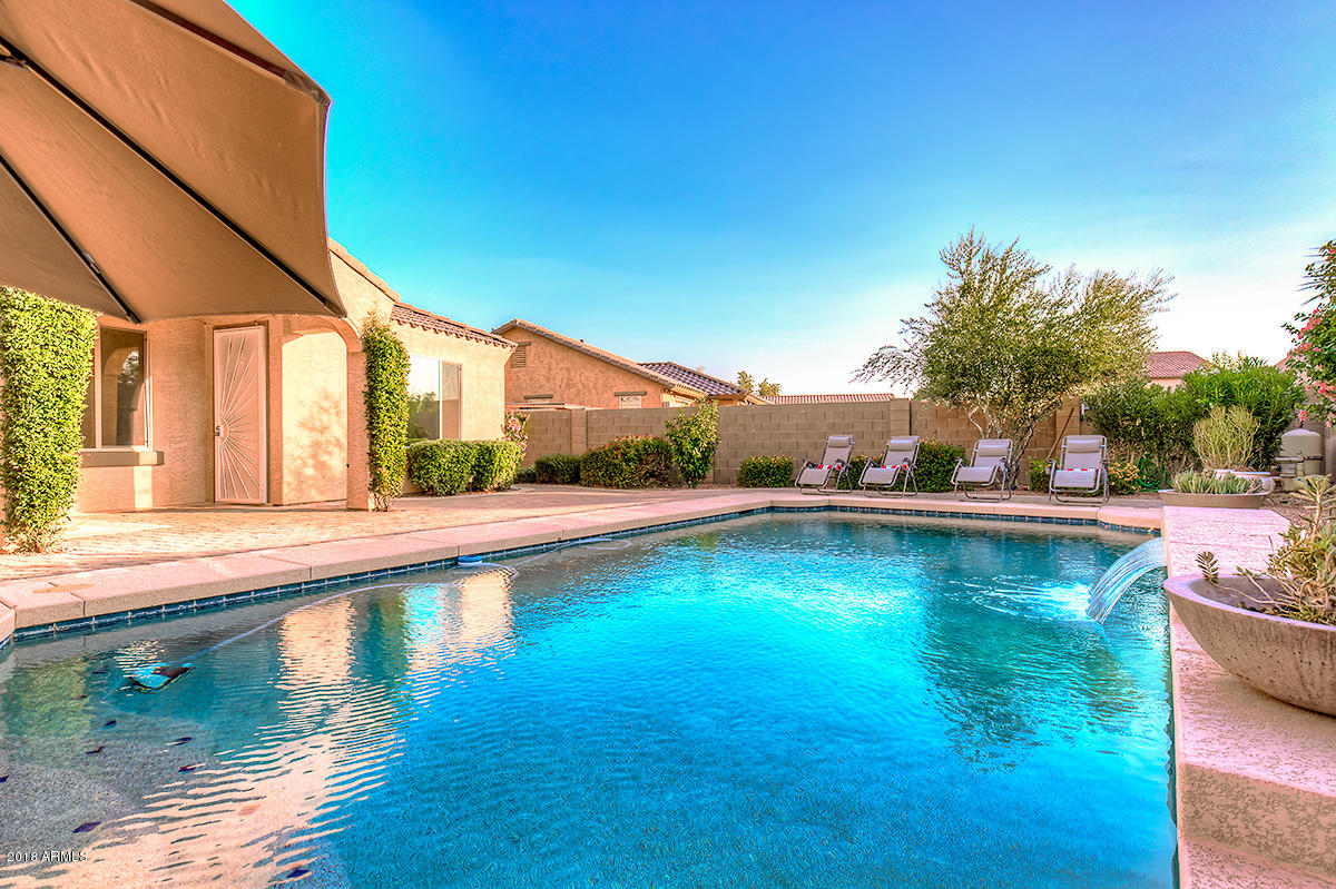 4432 North 155th Lane Goodyear, AZ 85395 - Photo 38 of 62 Sparkling Pool