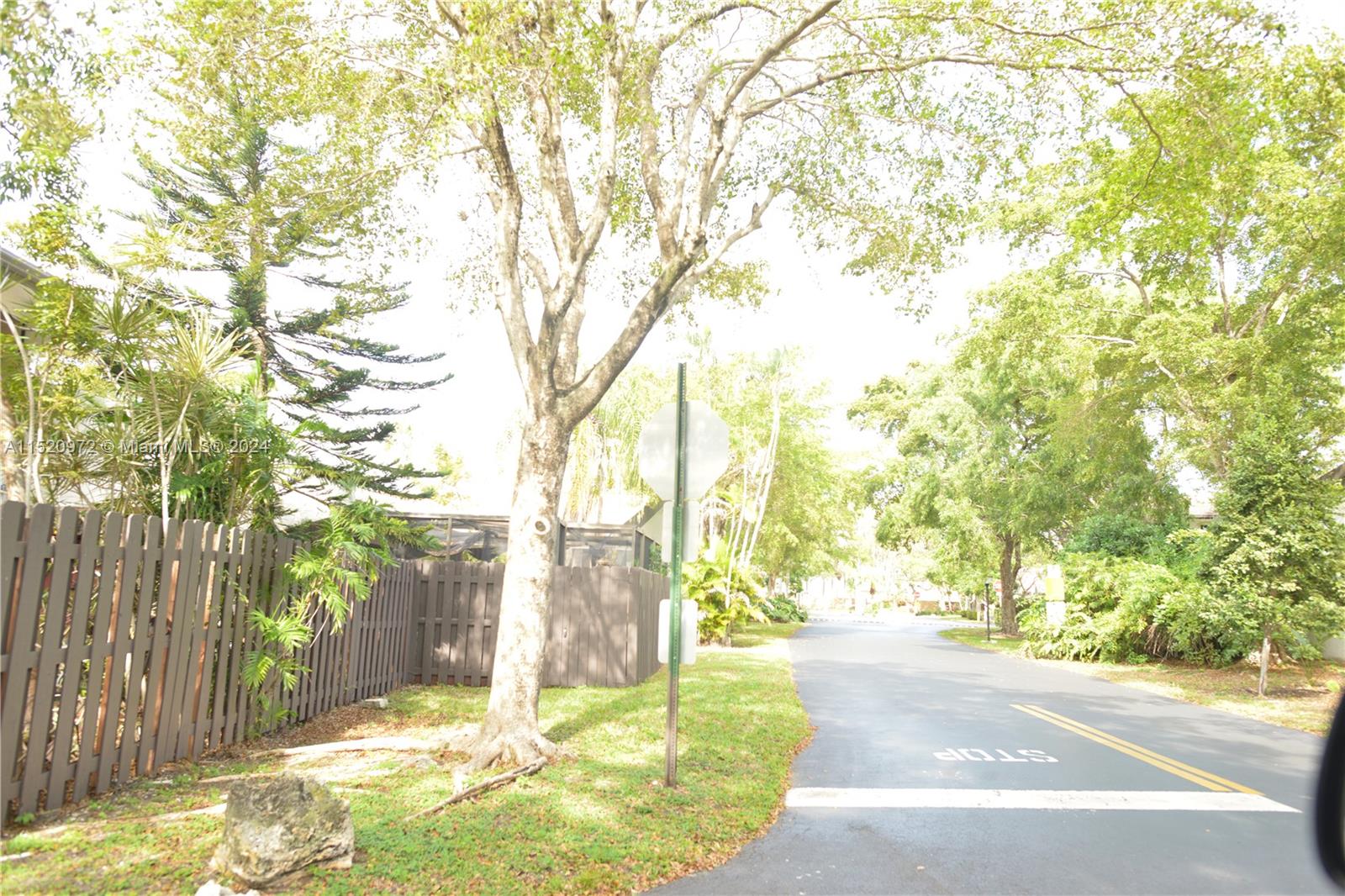 Ives Estates Miami, FL 33179 - Photo 17 of 17 a backyard of a house with large trees