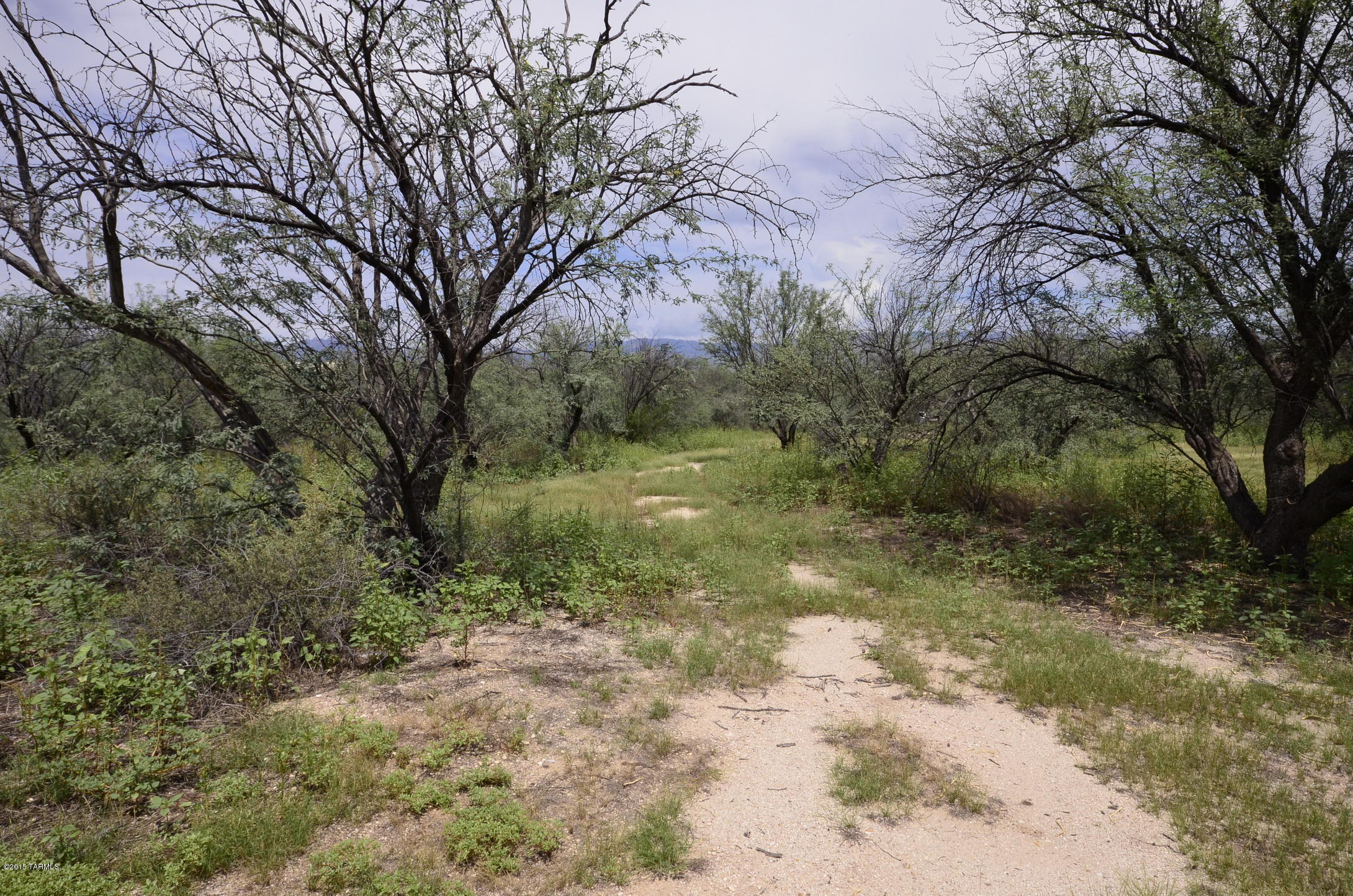 10894 East Tanque Verde Road Tucson, AZ 85749 - Photo 21 of 24 Gallery Image 21