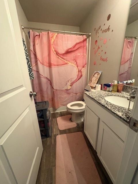 357 Indian Lake Trail Villa Rica, GA 30180 - Photo 17 of 26 a bathroom with a sink a toilet a mirror and shower curtain