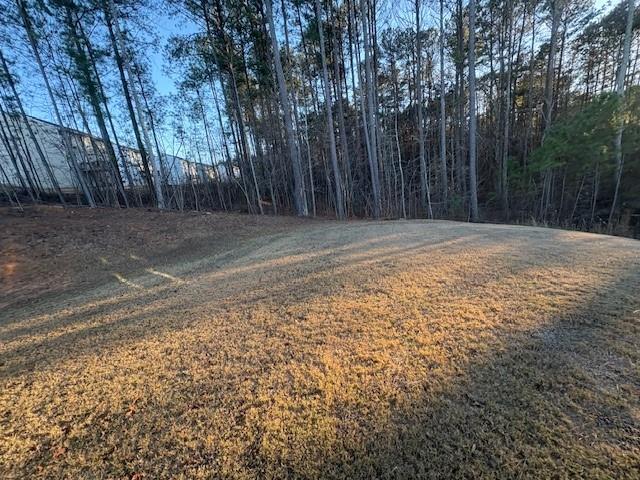 357 Indian Lake Trail Villa Rica, GA 30180 - Photo 25 of 26 a view of a yard with trees