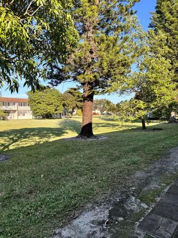 a view of a field with an trees