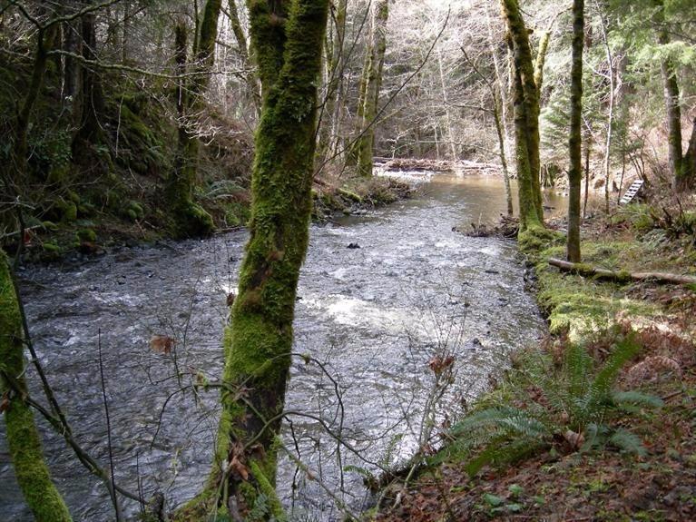 0 Briggs Valley Road Cave Junction, OR 97523 - Photo 1 of 1 Primary Photo