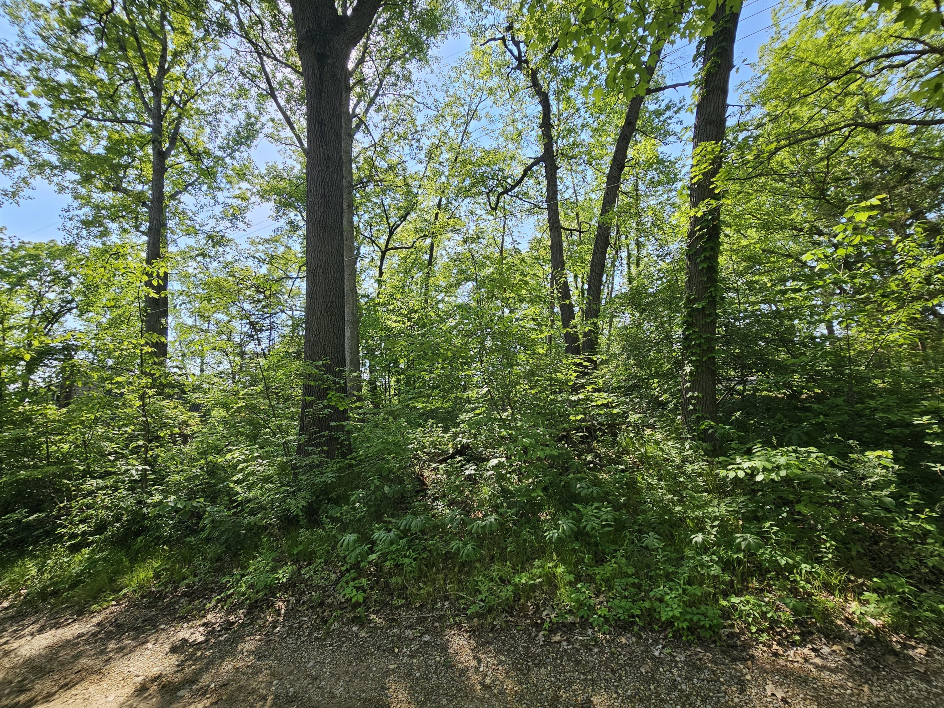 5350 Eze Street Reading, MI 49274 - Photo 27 of 36 1000039219