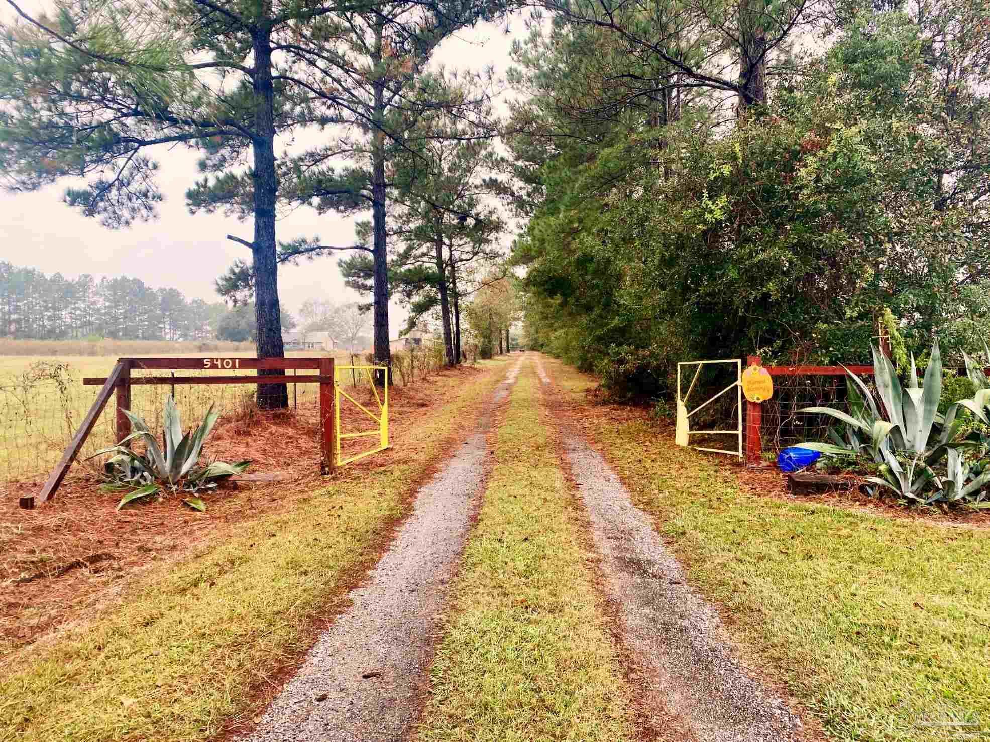 5401 Chestnut Road Molino, FL 32577 - Photo 1 of 50 5401 Chestnut Road