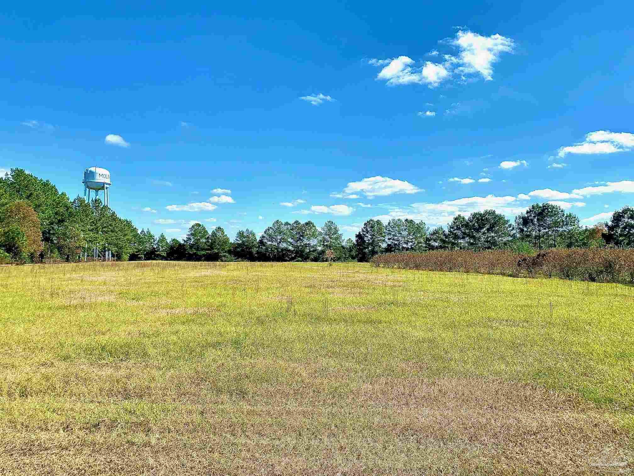 5401 Chestnut Road Molino, FL 32577 - Photo 39 of 50 Gallery Image 39