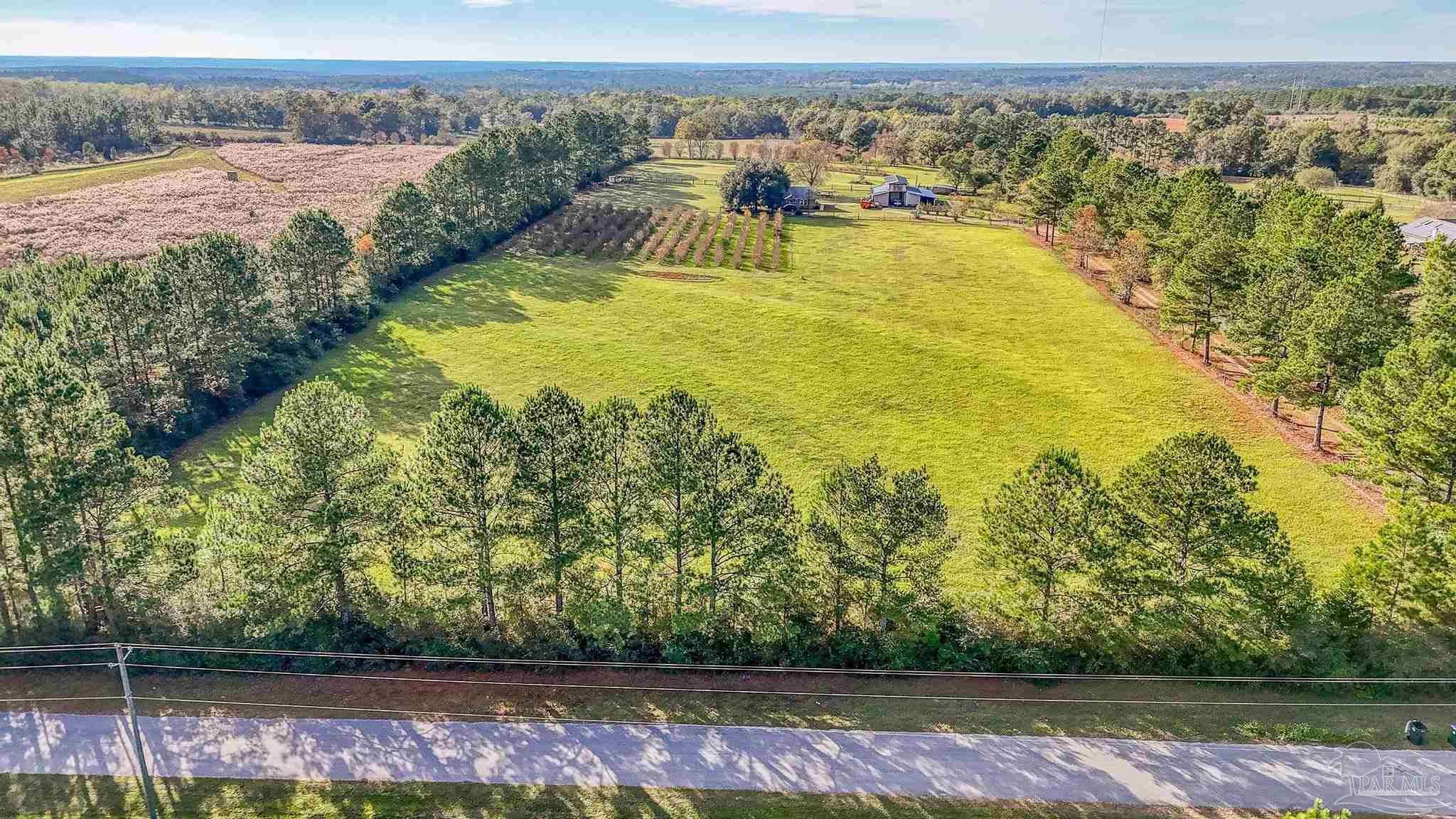 5401 Chestnut Road Molino, FL 32577 - Photo 4 of 50 Gallery Image 4